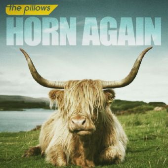 The_Pillows_Horn_Again_2011.jpg
