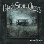 170 Black Stone Cherry Kentucky